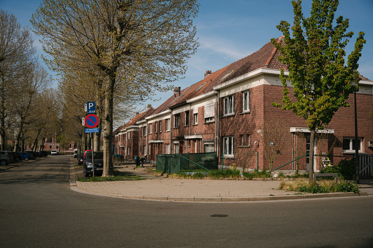 Sociale woningen in de Edisonstraat in Hoboken, Antwerpen. Beeld Wouter Van Vooren