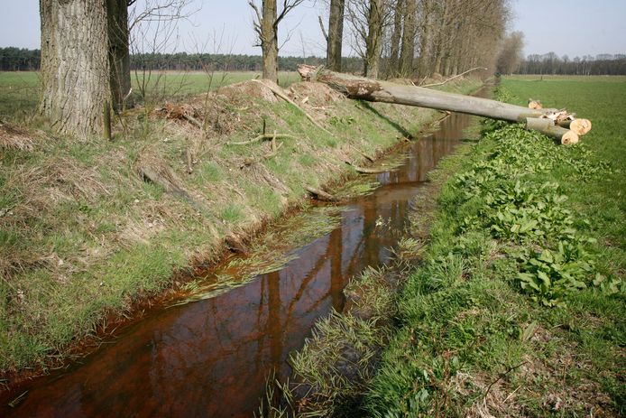 In de Pielis in Bergeijk is ruimte voor opwekking van wind- en zonne-energie, stelt de ontwerp-omgevingsvisie van de gemeente.