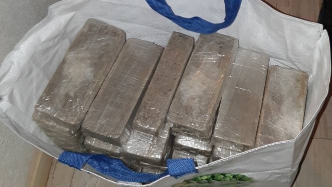 Politie vindt 80 kilo drugs en 340.000 euro cash in woning, zeven personen aangehouden
