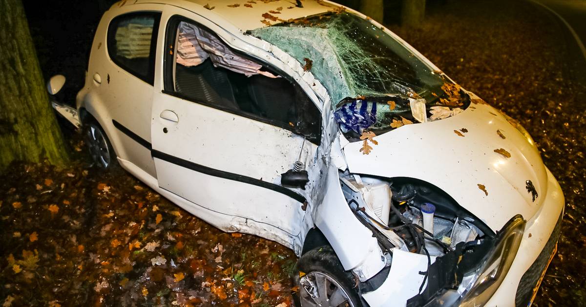 Harde klap in de nacht blijkt zwaar ongeluk in Wenum Wiesel: man gewond naar ziekenhuis.
