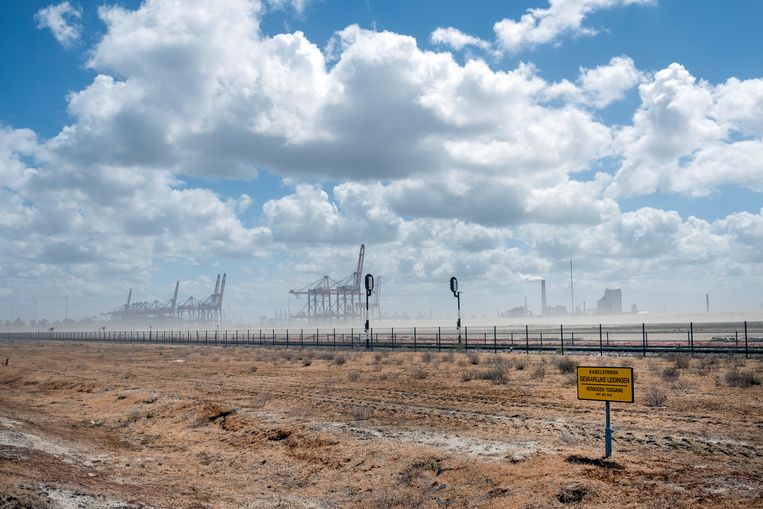 Door de extreme droogte van de laatste maanden zijn er regelmatig stofstormen of zandstormen op de Tweede Maasvlakte in Rotterdam.  Beeld Hollandse Hoogte / Paulien van de Loo