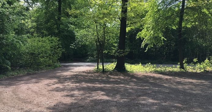 Het Lindenbos in Lubbeek.