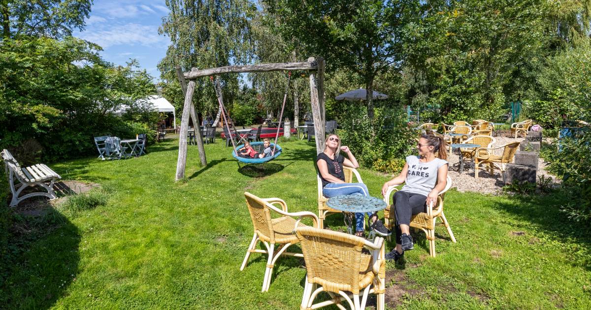 eropuit in de vakantie deze vijf bijzondere tuinen in het groene hart moet je zien zomer groene hart 2020 ad nl