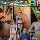'Als Primark roofdieren afschoot, zou Nederland op zijn achterste benen staan'