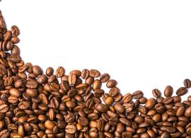 Slecht nieuws voor koffieleuten: de smaak van je dagelijkse bakkie gaat veranderen