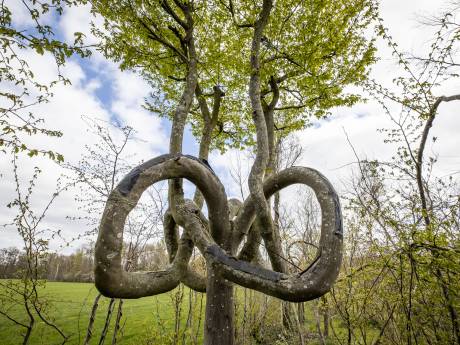 Lezing ‘Bijzondere Bomen’ in Dronten