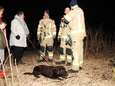 Door het ijs gezakte labrador Mila houdt Middelburgse brandweer uren bezig