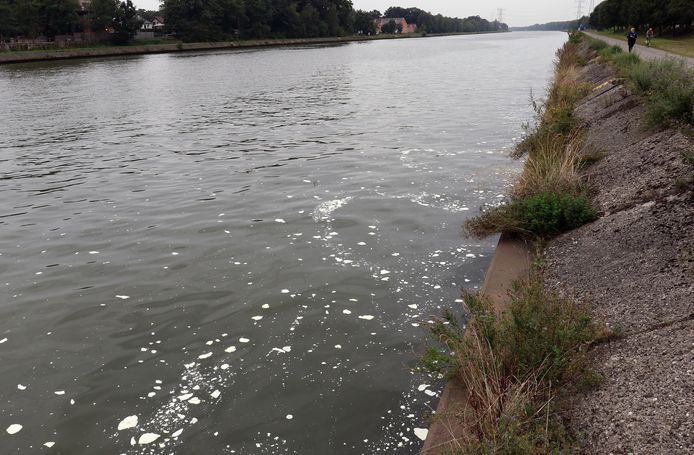 Vervuiling in het Albertkanaal. Archiefbeeld ter illustratie.