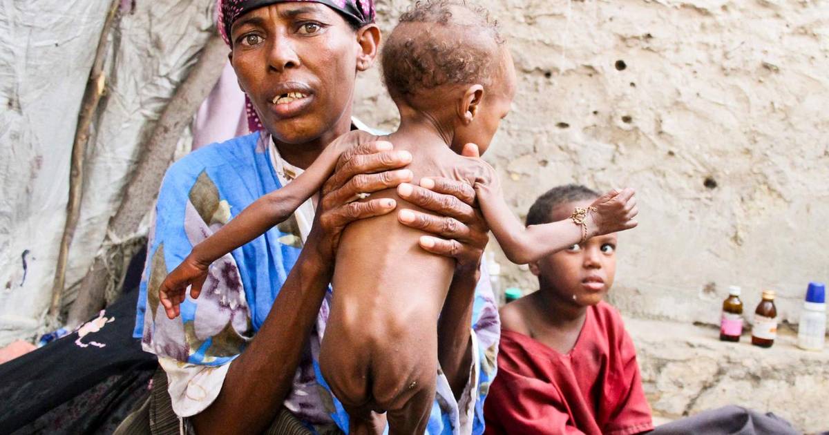 Enorme droogte bedreigt Hoorn van Afrika | Binnenland | AD.nl