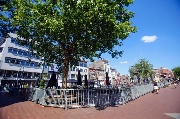 Hekken rond de terrassen op de markt in Eindhoven. Omstanders zeggen dat het wel een dierentuin lijkt.