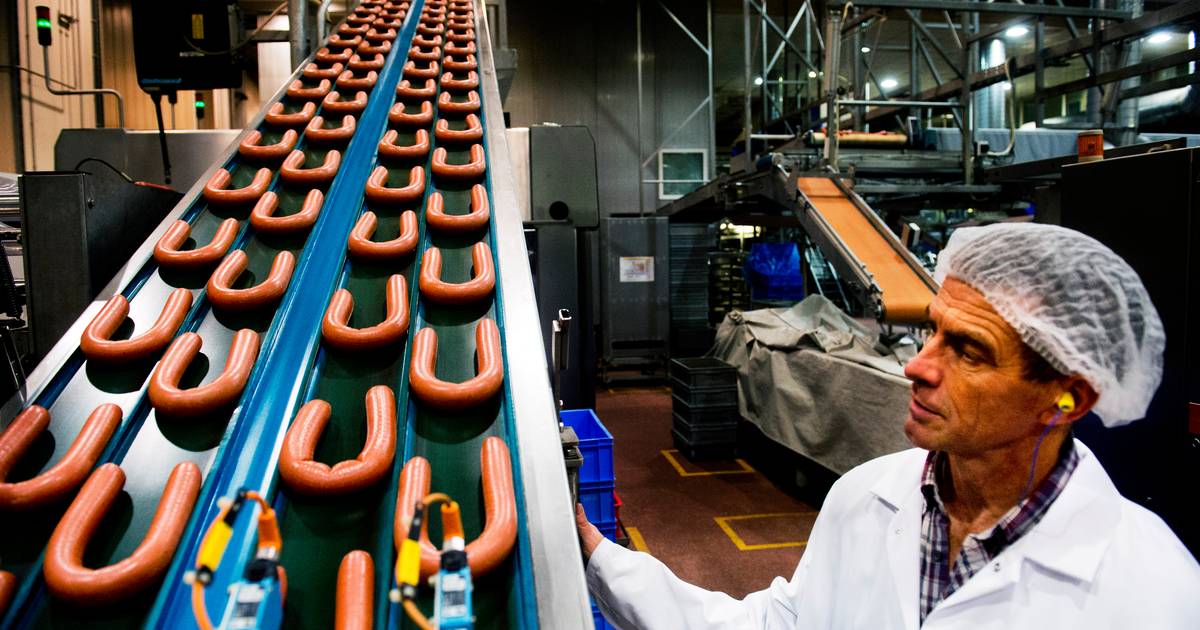 Zestig banen bij Lupack gaan verloren | Raalte | destentor.nl