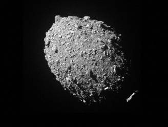 Asteroïde met bijnaam ‘City Killer’ scheert vanavond tussen aarde en maan: zo kan je het waarnemen