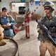 Oud-helpers Nederland willen nú weg uit Afghanistan