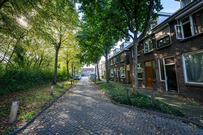 In het achterste deel van de Parallelweg heeft Widjai Sardjoe vier panden.
