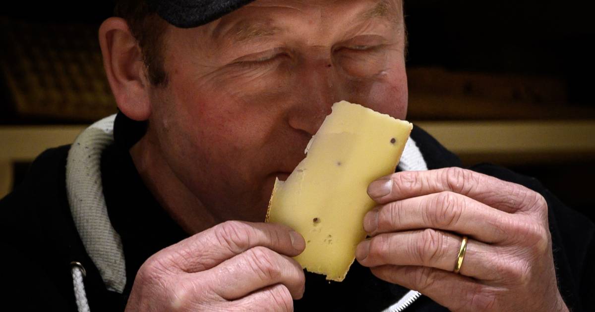 Kaas Die Luistert Naar Hiphop Smaakt Lekkerder Koken Eten Bndestem Nl