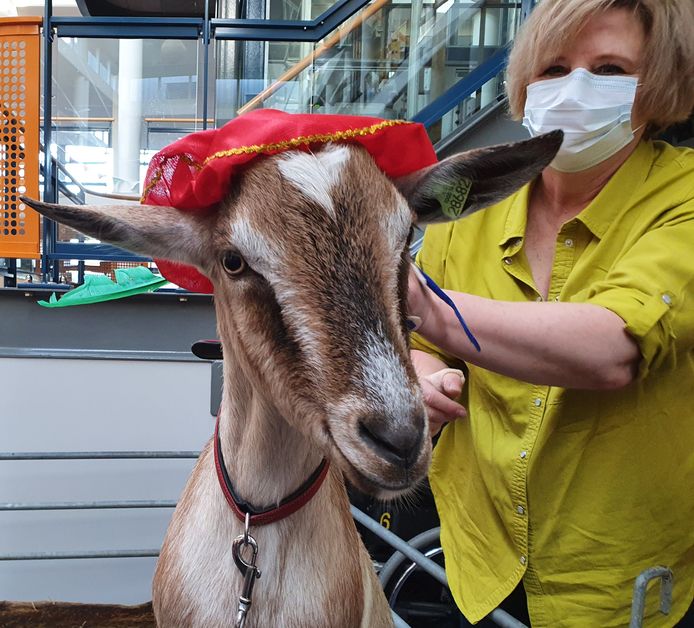 Wilma van Leusden van het Natuurcentrum in Gorinchem, met één van de geiten.