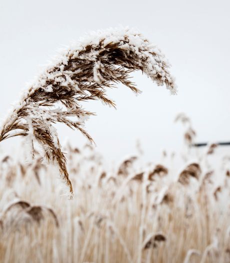 Sneeuw op meerdere plekken in Zuid-Limburg, weekend wordt onstuimiger