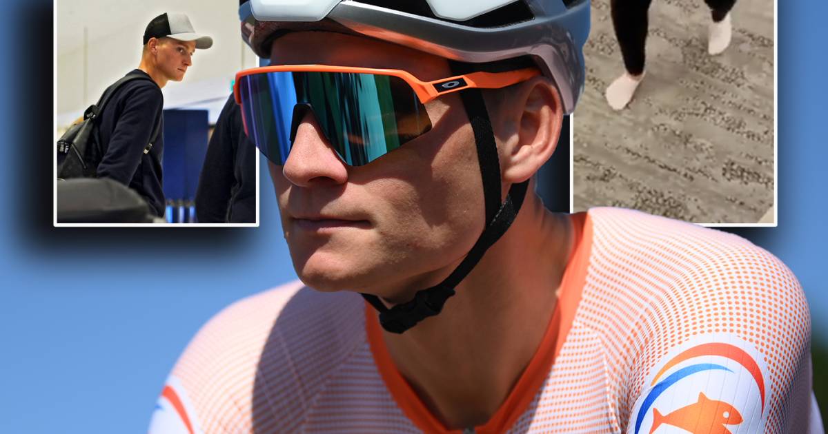 Tienermeisje (14) en filmpjes geven beeld van bizarre hotelnacht Mathieu van der Poel: ‘Je hebt ons bedreigd’