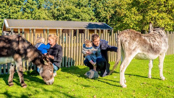 Haagse stadsboerderijen nemen maatregelen vanwege hitte: even niet knuffelen met de dieren
