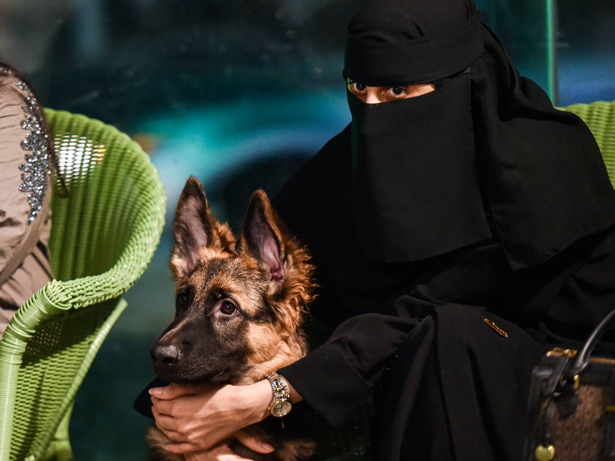 Les chiens autorisés dans un café: une première en Arabie saoudite | Monde  | 7sur7.be