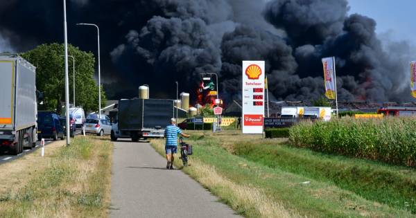 2500 varkens dood na grote brand in stal Didam - BN DeStem