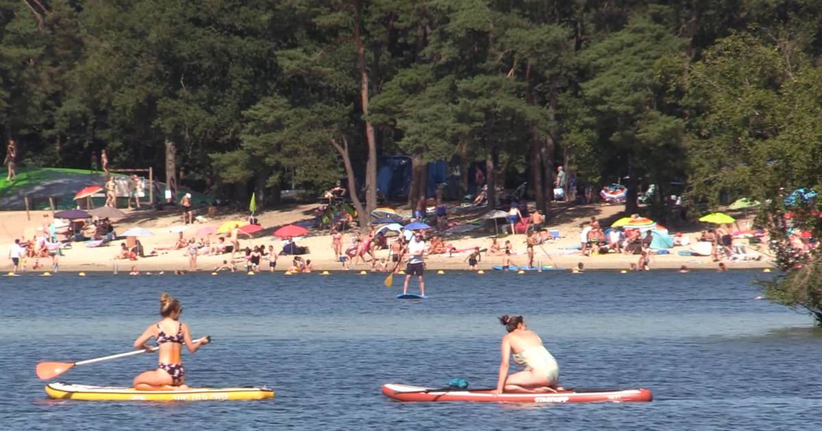 Dit zit er in het water bij een zwemplas: Durf jij nog te gaan zwemmen? - BN DeStem