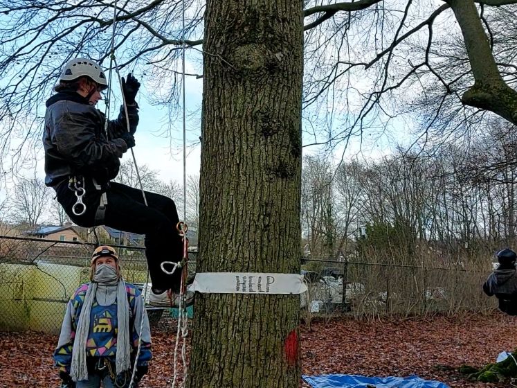 Klimaatactivisten oefenen boomklimmen in Nijmegen