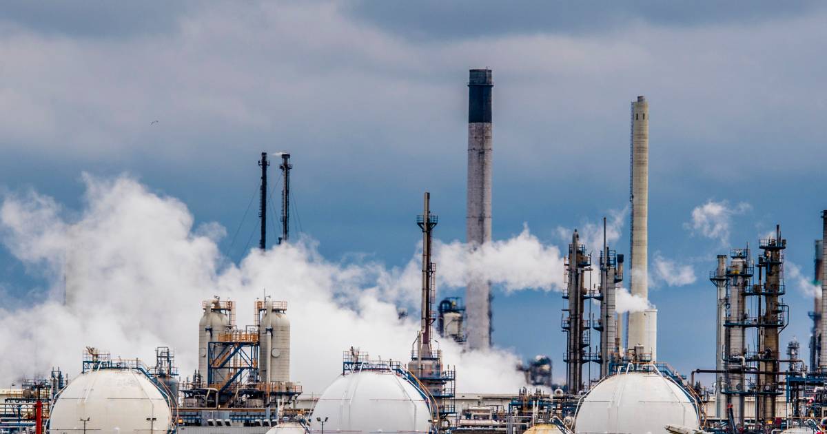 Harde knal bij Rijnmond Power Holding: DCMR krijgt meer dan twintig klachten uit Vlaardingen en Pern