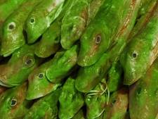 Deelscooter voor na het stappen en staanplaatsen in bioscoop? Dit zijn de leukste 1 april grappen in het Groene Hart