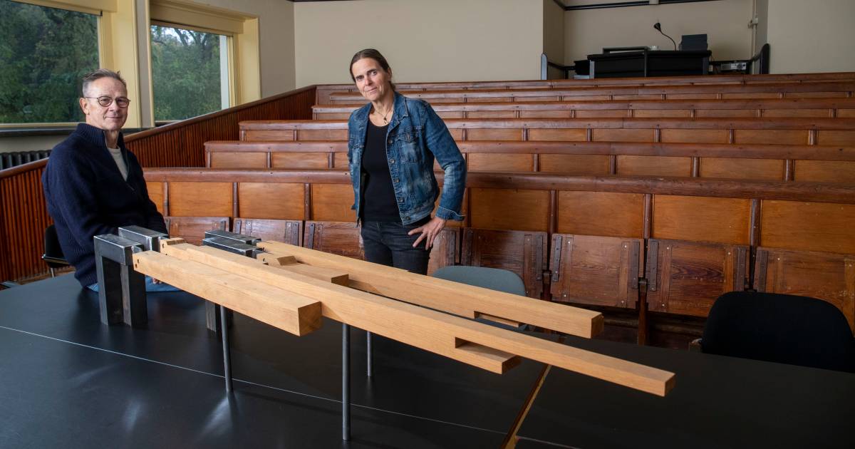 Onderdelen afgedankt kunstwerk herrijzen, misschien, zelfs op dezelfde plek Wageningen