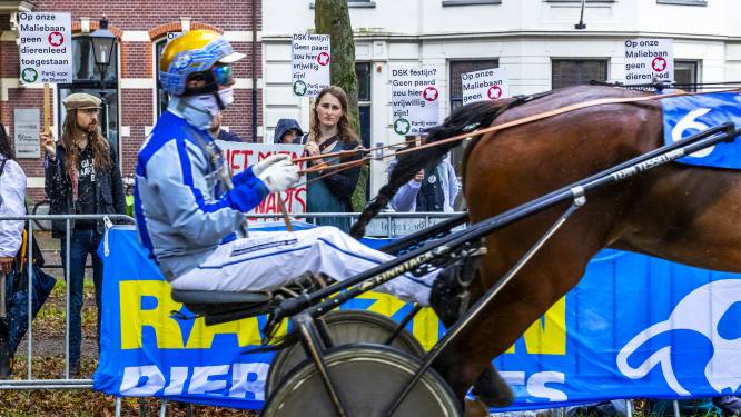 Omstreden paardenrace voor laatste keer in Utrecht: ‘Wilde met eigen ogen zien hoe het eraan toegaat’