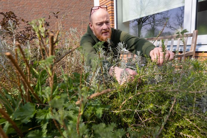 Tuinarchitect Léon van Rijswijk heeft in zijn voortuin in Vlijmen allerlei kruiden die hij door elkaar laat groeien.