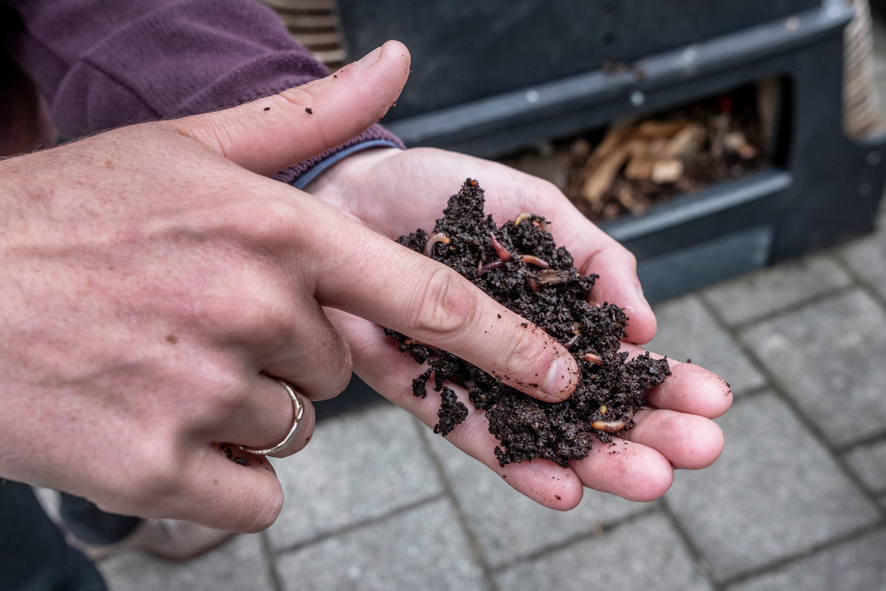  De kaviaar van alle compostsoorten. Beeld Patrick Post