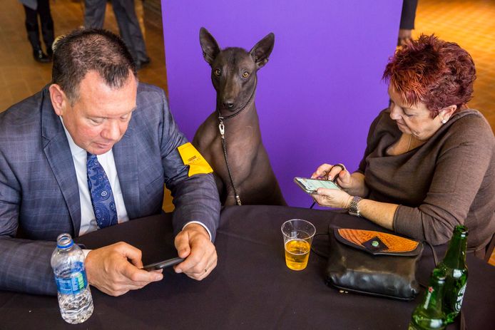 Twee deelnemers aan de Westminster Kennel Club Dog Show in New York met hun hond. Foto Natan Dvir
