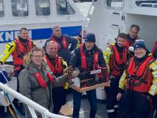 Eerste Oosterscheldekreeft op alternatief feestje aan wal gebracht. ‘Leve Zierikzee!’