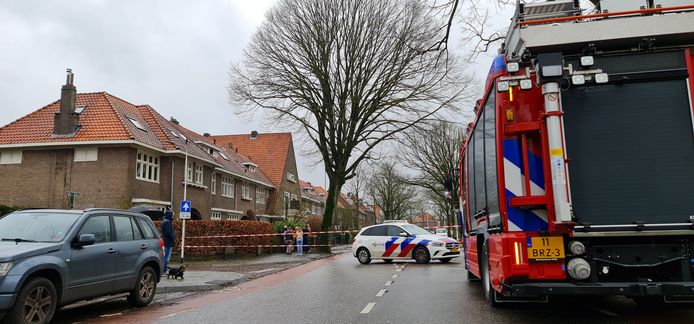 Deze linde op de hoek van de Berg en Dalseweg met de Beukstraat is door storm Eunice ontwricht. De boom moet mogelijk tegen de vlakte.