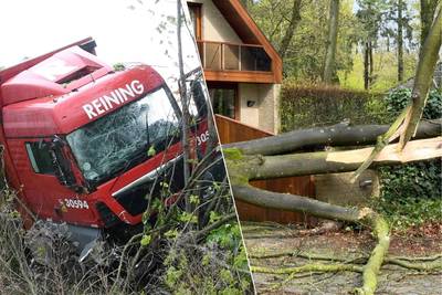Van omgewaaide bomen tot auto-ongevallen: op deze plekken in Vlaanderen bracht de storm schade met zich mee