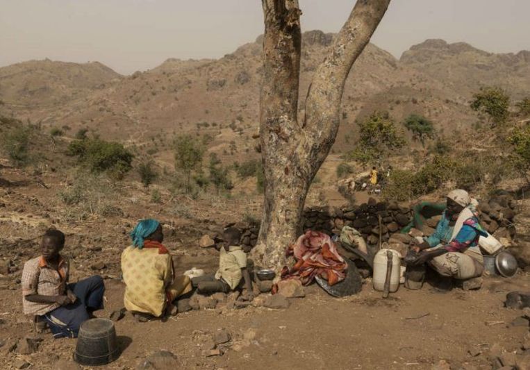 Hadja Abdu Mula is nadat zij werd verkracht met haar kinderen naar de heuvels bij Kome gevlucht. Ze woont onder een boom. Beeld Adriane Ohanesian