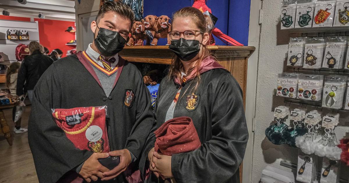 Magische vacature: The Wizard Store in Gent zoekt nog verkopers ...