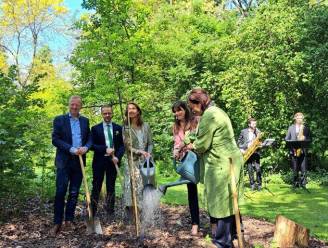 Sloveneense vertegenwoordigers planten bijvriendelijke boom aan in Arboretum