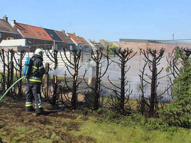 Man wil grasmaaier met benzine vullen: verbrand en tuinhuis vernield