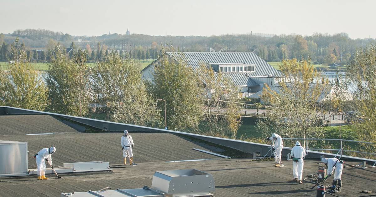 Gedeelte rond Laagravense plas vrijgegeven na asbestschoonmaak