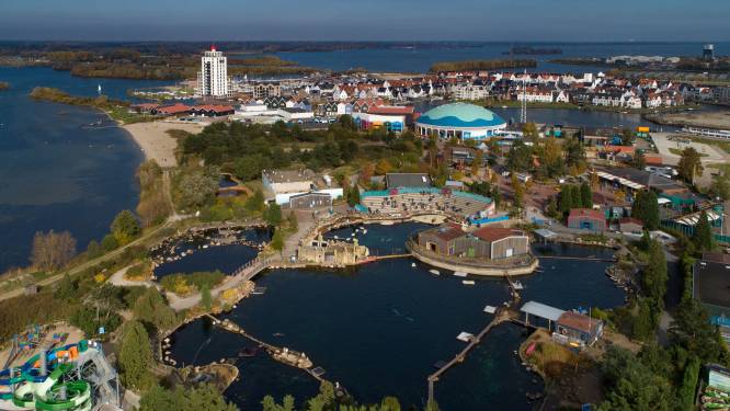 Tegenstanders Dolfinarium in Harderwijk dwingen zeedierenpark in onmogelijke spagaat
