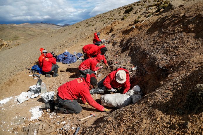 Paleontologen aan het werk op de vindplaats van de overblijfselen van de dinosaurus. (15/06/23)