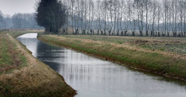 Omwonenden ageren tegen bouwplan De Donk in Vessem