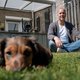 Troostdieren volop in trek: ‘Heerlijk, wat afleiding van al die corona-ellende’