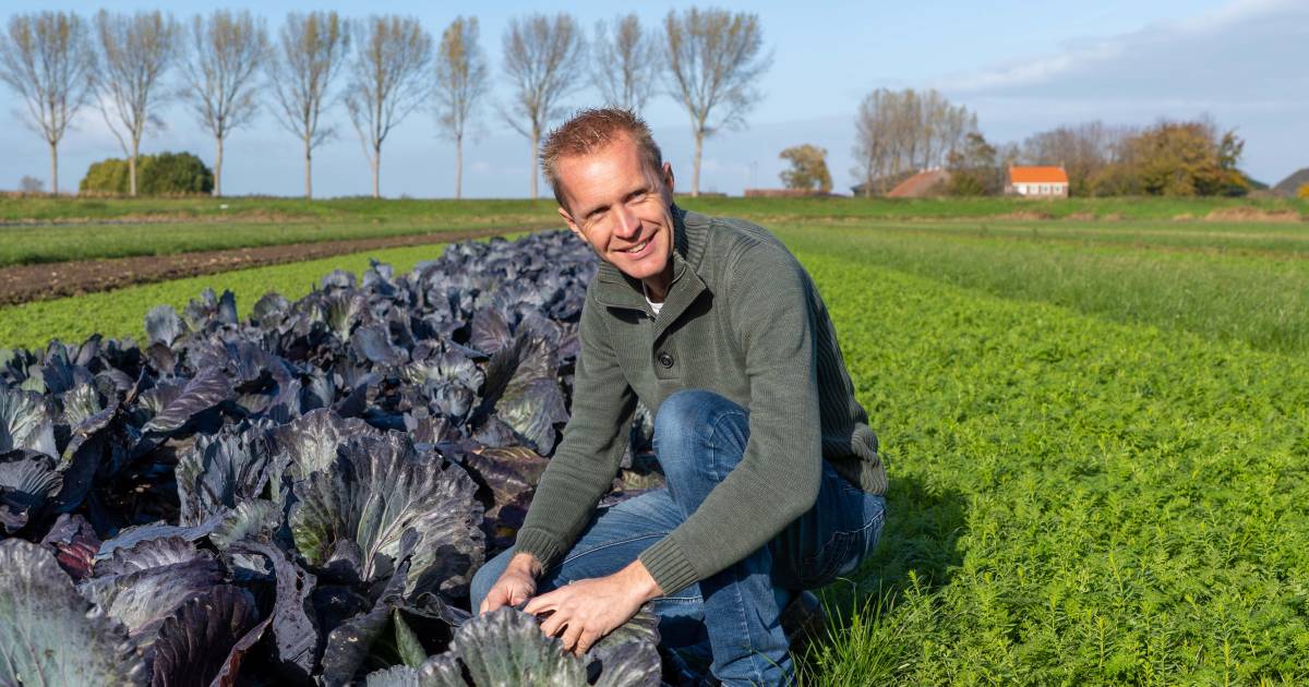 Boeren onderzoeken zelf ‘landbouw van de toekomst’: ‘De regie moet terug naar de boer’