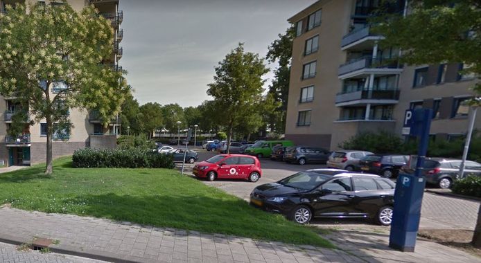 Digitaal parkeren in de Bossche wijk Deuteren.