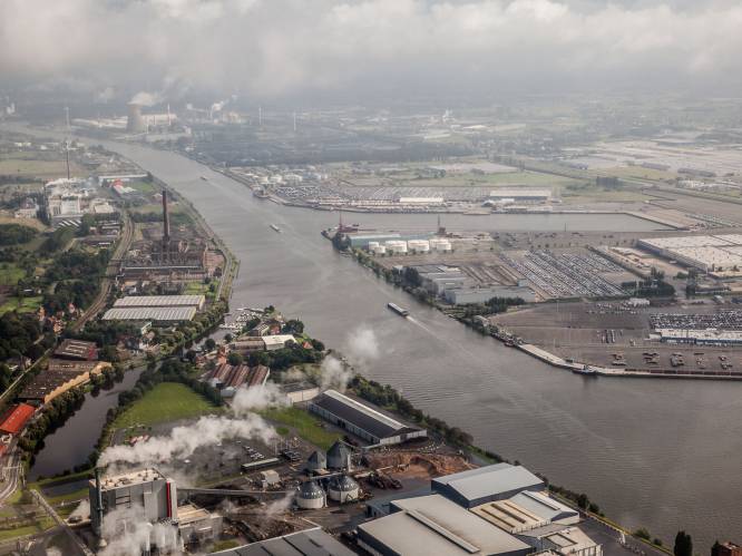 Verschuift drugshandel van Antwerpse naar Gentse haven? “We volgen het van nabij op”