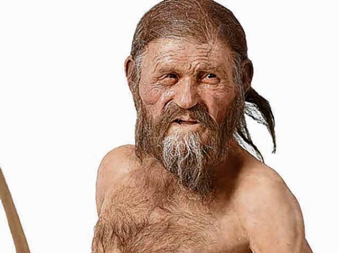 IJsman Ötzi at vlak voor hij stierf vet vlees, graan en varens